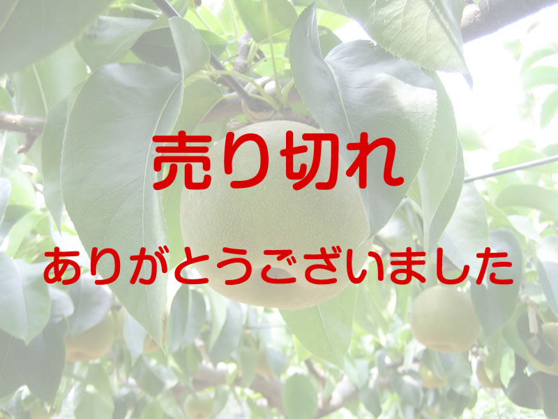 幸水　約5キロ　4Ｌ　12個入り