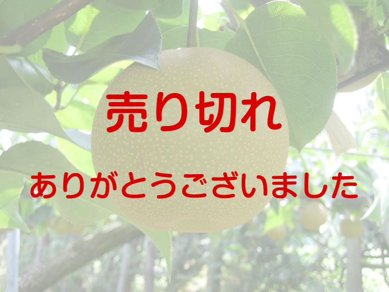 豊水　約5キロ　4Ｌ　12個入り