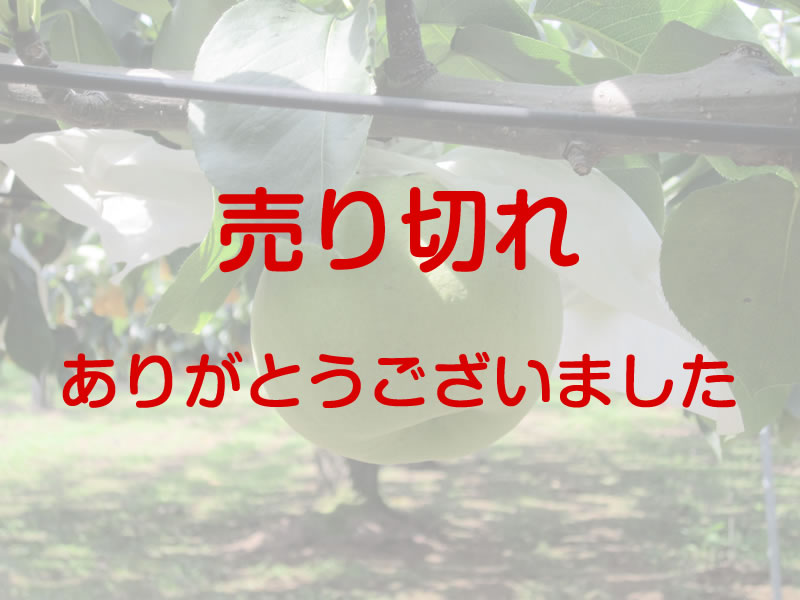 かおり　２個入り　特大玉　（１キロ以上）