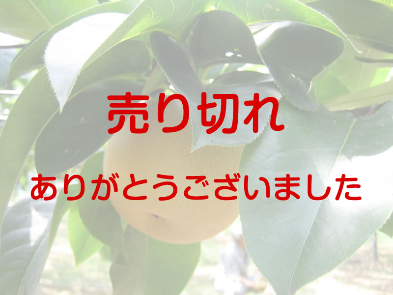 あきづき　約5キロ　6Ｌ　9個入り