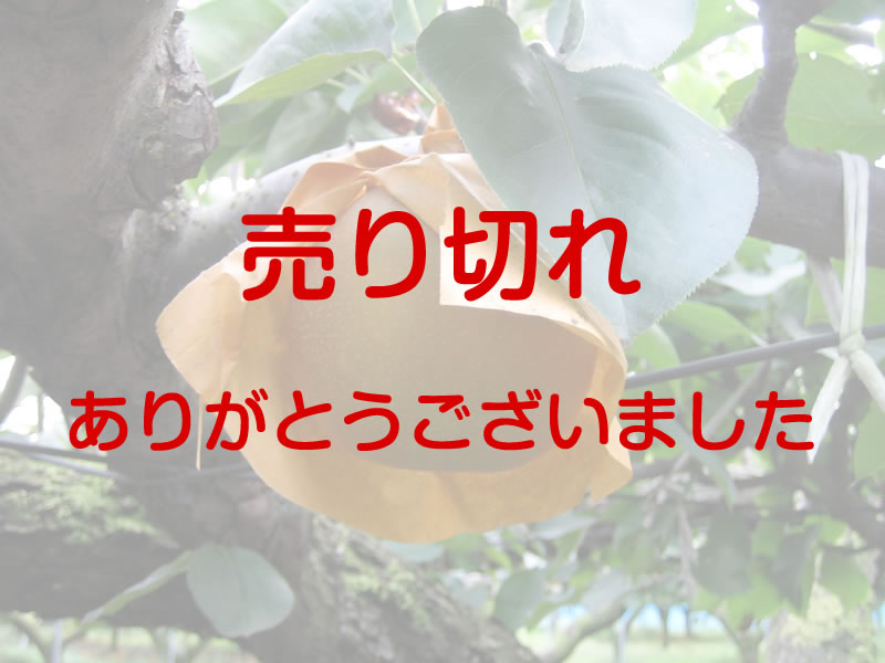 新高　約5キロ　3Ｌ　7個入り